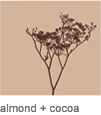 amenity from amenityhome.com
