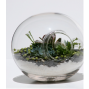 Terrarium  Kit : $200