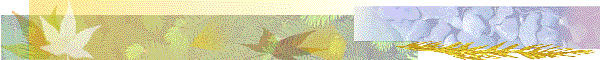 banner.gif - 15492 Bytes
