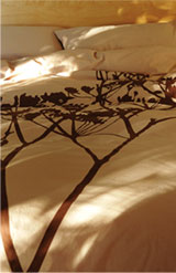 Duvets - Twig