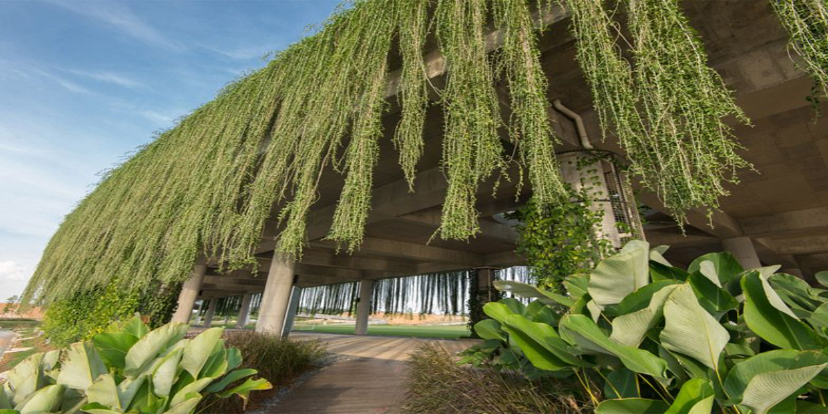 A Green Canopy