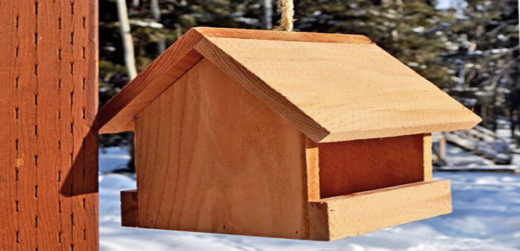 Birdfeeder and Birdhouse in One