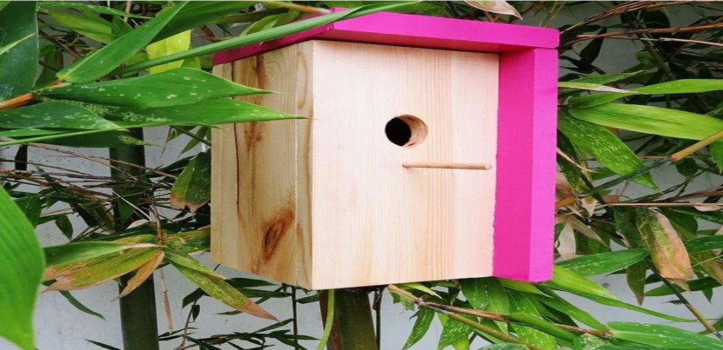 Birdhouse with a Flat Roof