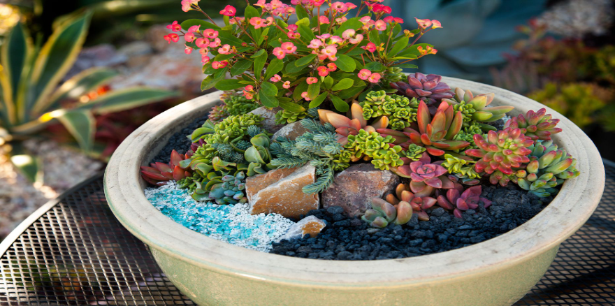 Black Rock Container Garden