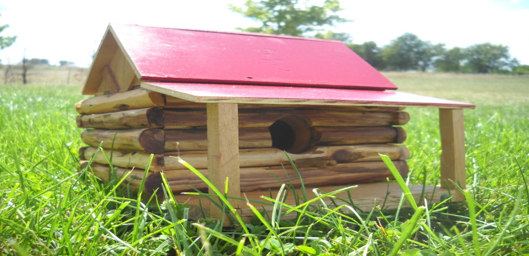 Deck on The Birdhouse