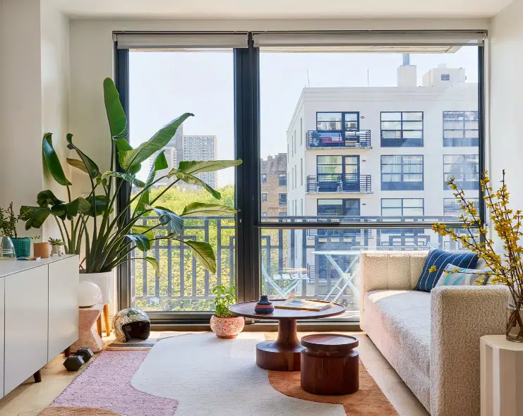 Friendly House Plants