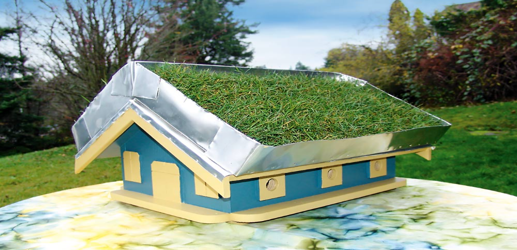 Green Roof on The Birdhouse