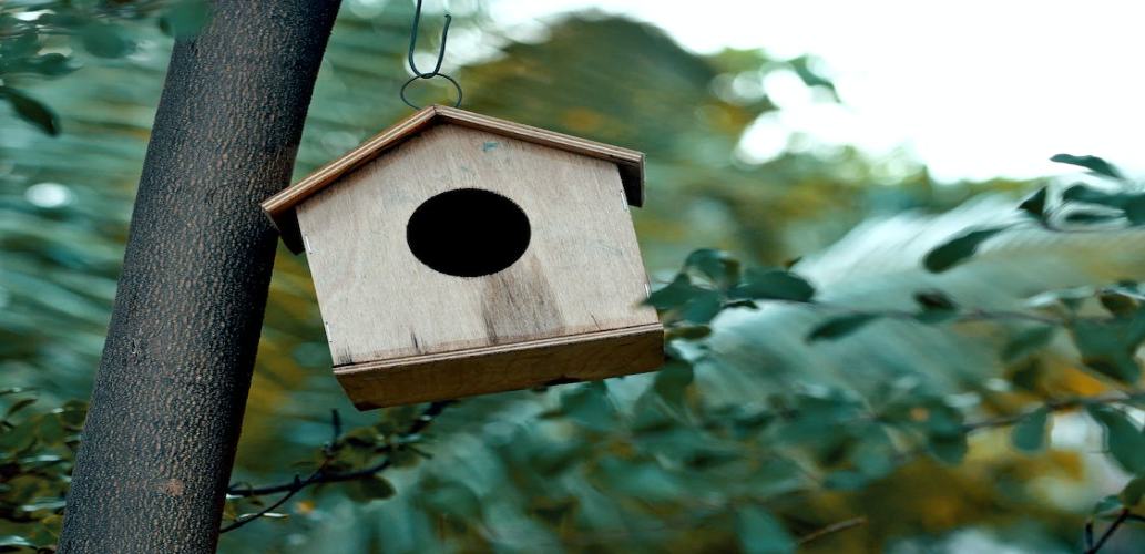 How to DIY a Birdhouse Plan