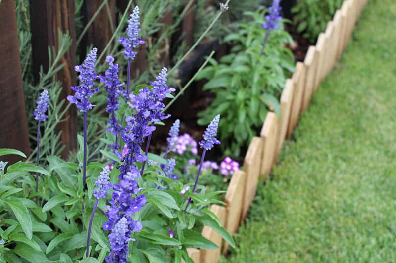 Mini Fence for Garden Edging