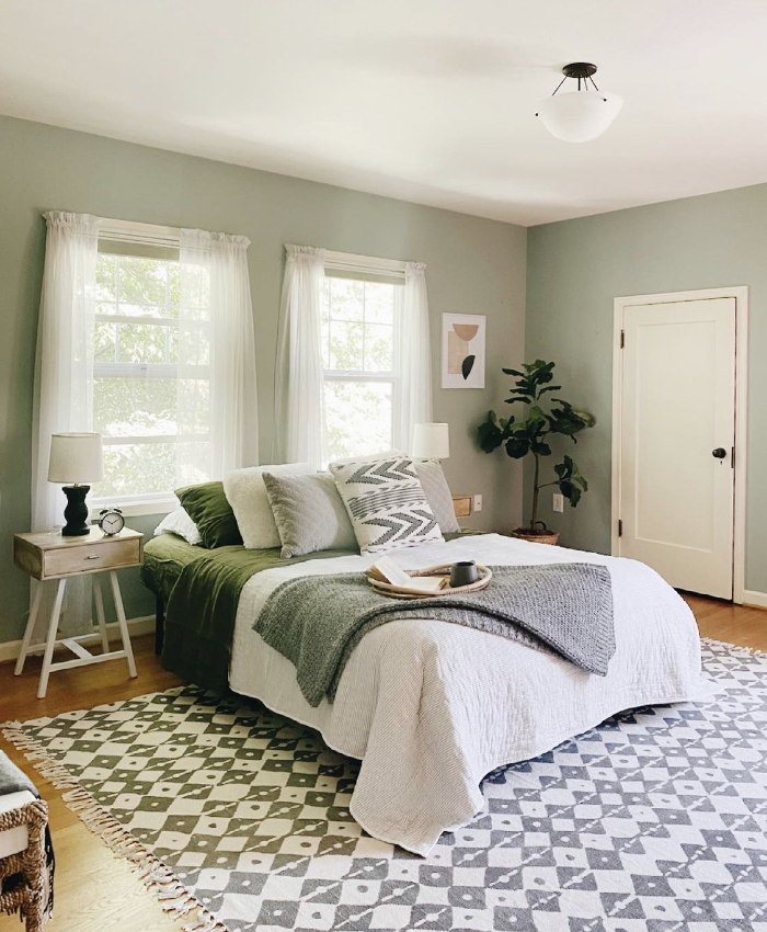 Pale Sage Green Paint Color