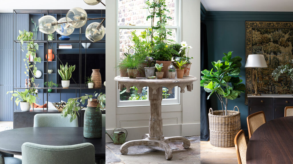 Add Greenery to Your Space