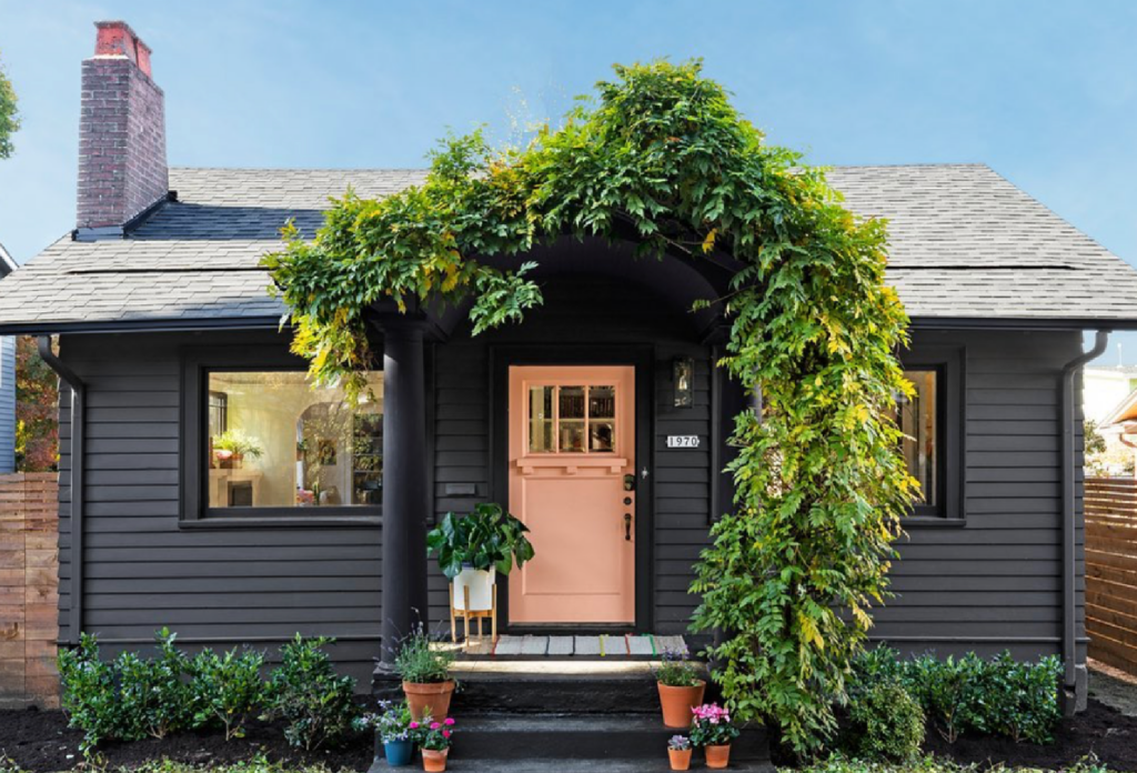 Black Small House with Vines