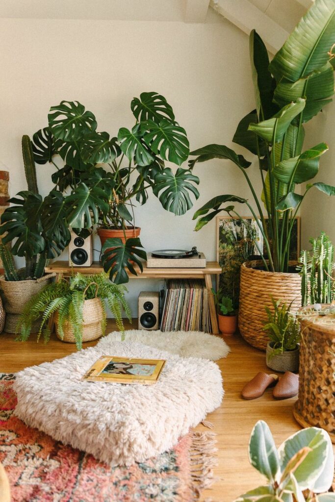 Floor Pillows and Vinyl Plants