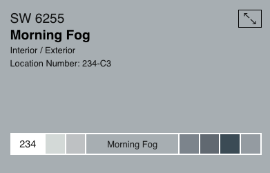 Morning Fog- SW6255