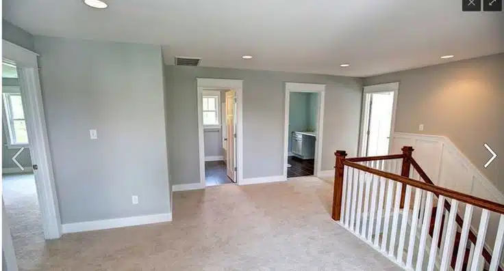 Sherwin Williams Big Chill vs. Sherwin Williams Passive