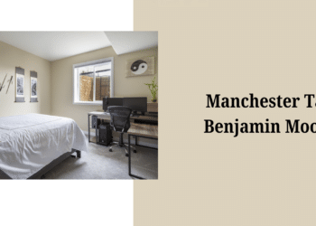 Benjamin Moore Manchester Tan (HC-81) Undertones
