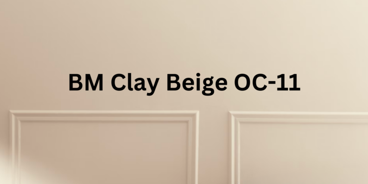Clay Beige Benjamin Moore (OC-11)