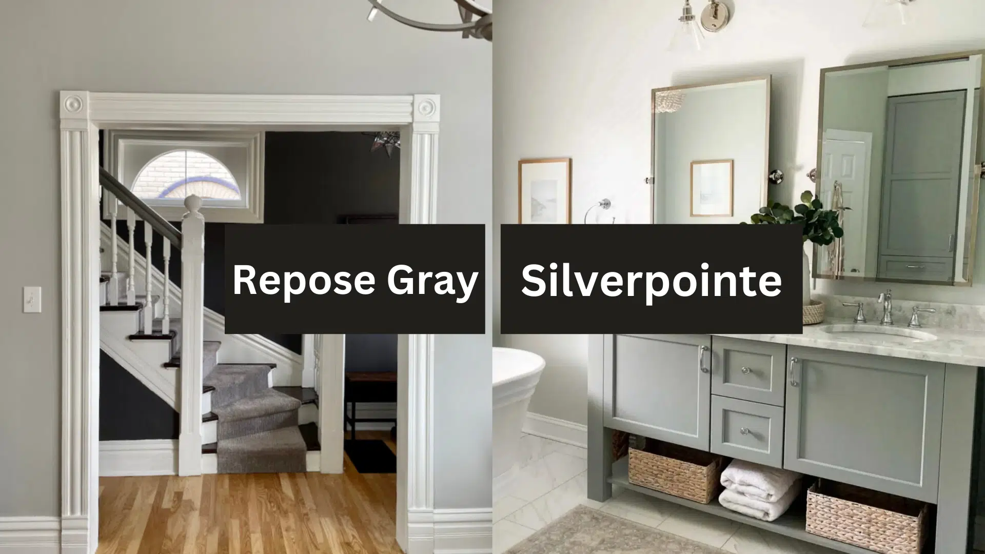 Compare Repose Gray (SW 7015)
