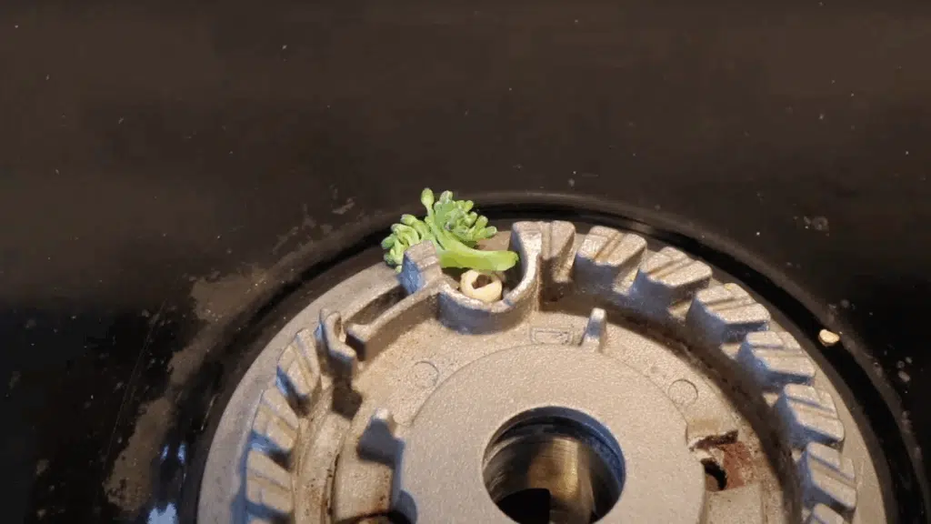 2 remove food and debris around the igniter