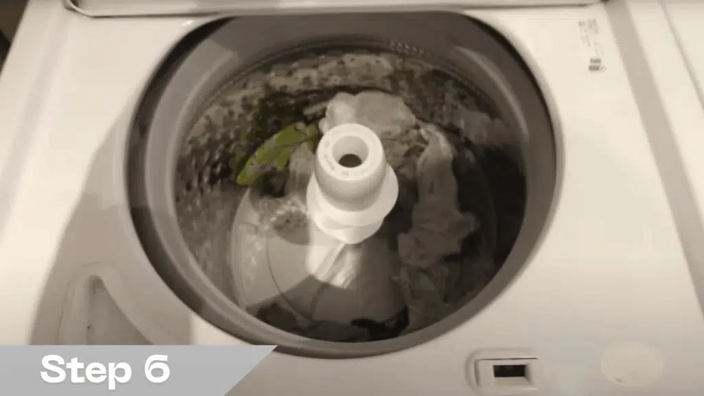 6 rinse in the washing machine