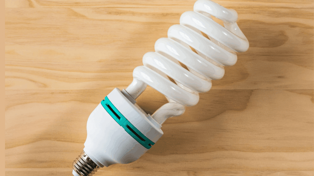 cfl bulbs