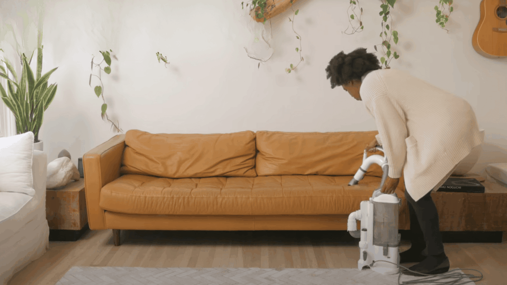 dust and vaccum