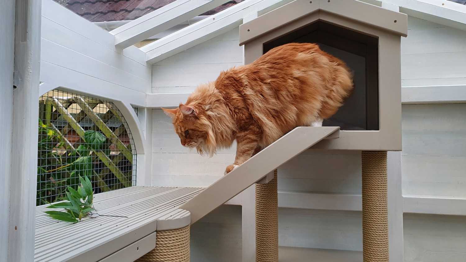 how to build a catio