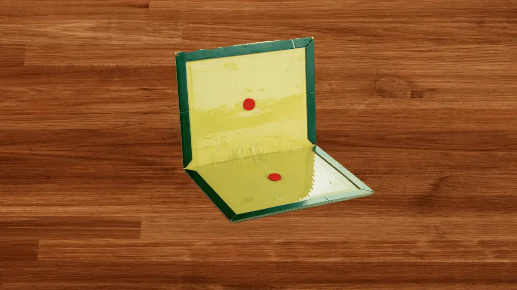 how to set a glue mouse trap