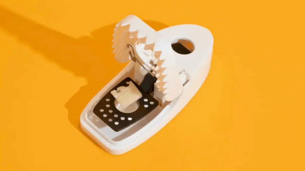 how to set a press n set mousetrap