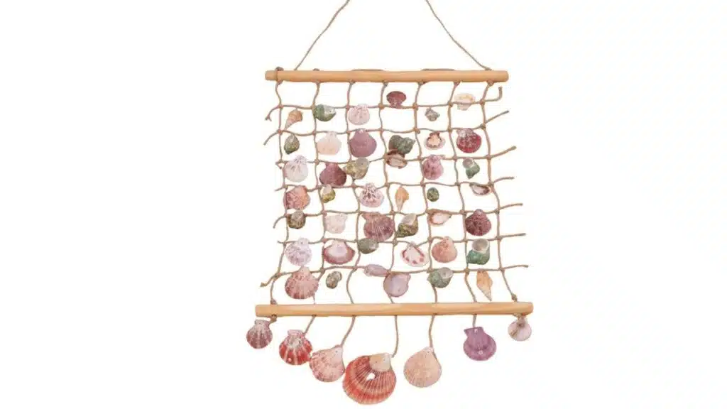 seashell wall hanging