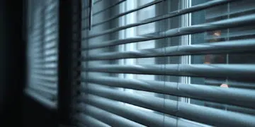 types of blinds for windows