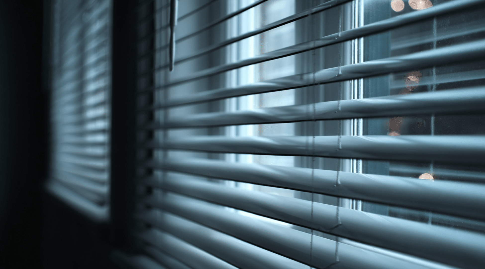 types of blinds for windows
