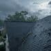 roof storm damage