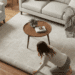 What Size Area Rug for Living Room You Need?