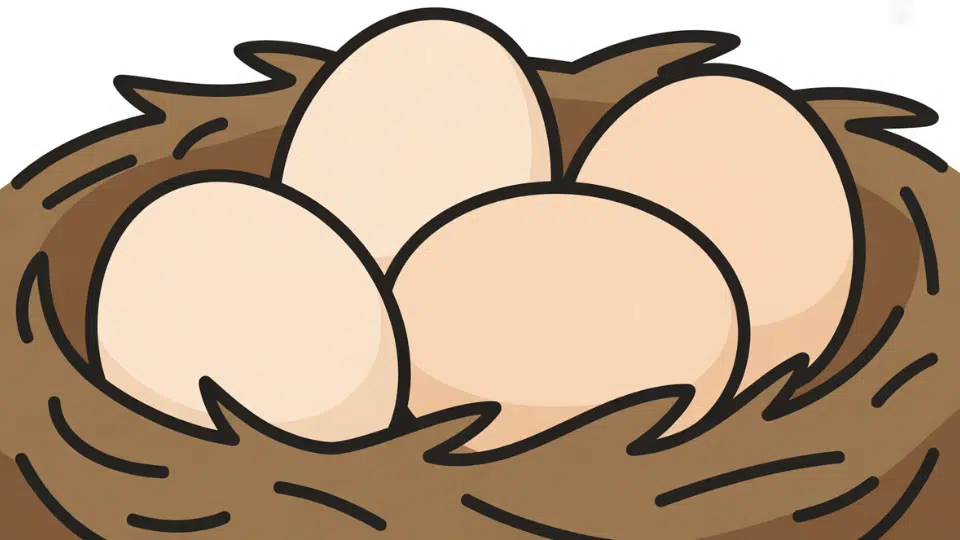 eggs in the nest