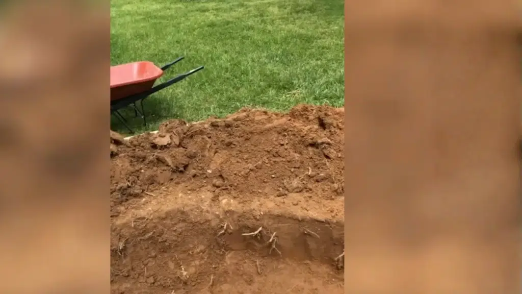 prepare the ground