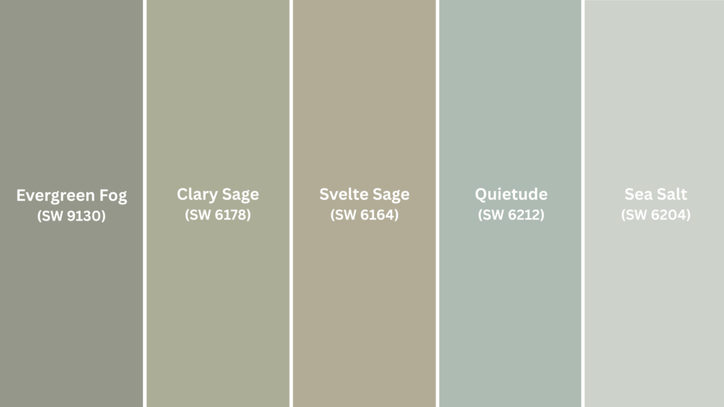 sherwin williams sage greens