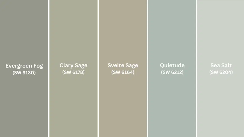 sherwin williams sage greens